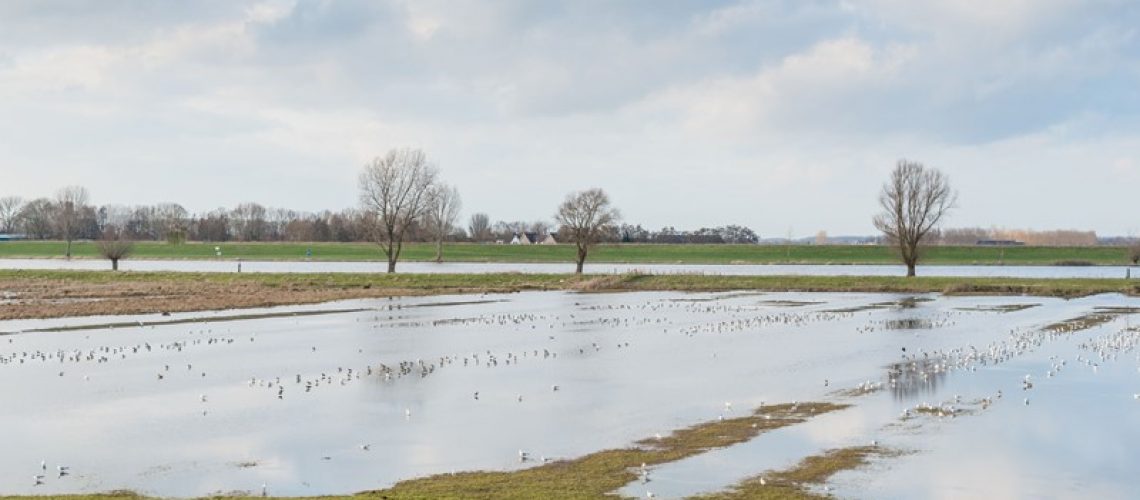 Subsidieregeling overstromingsschade 2021